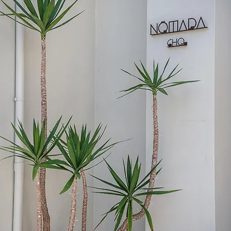 Nomada Chania 1 Апартаменти Ханья (Крит)